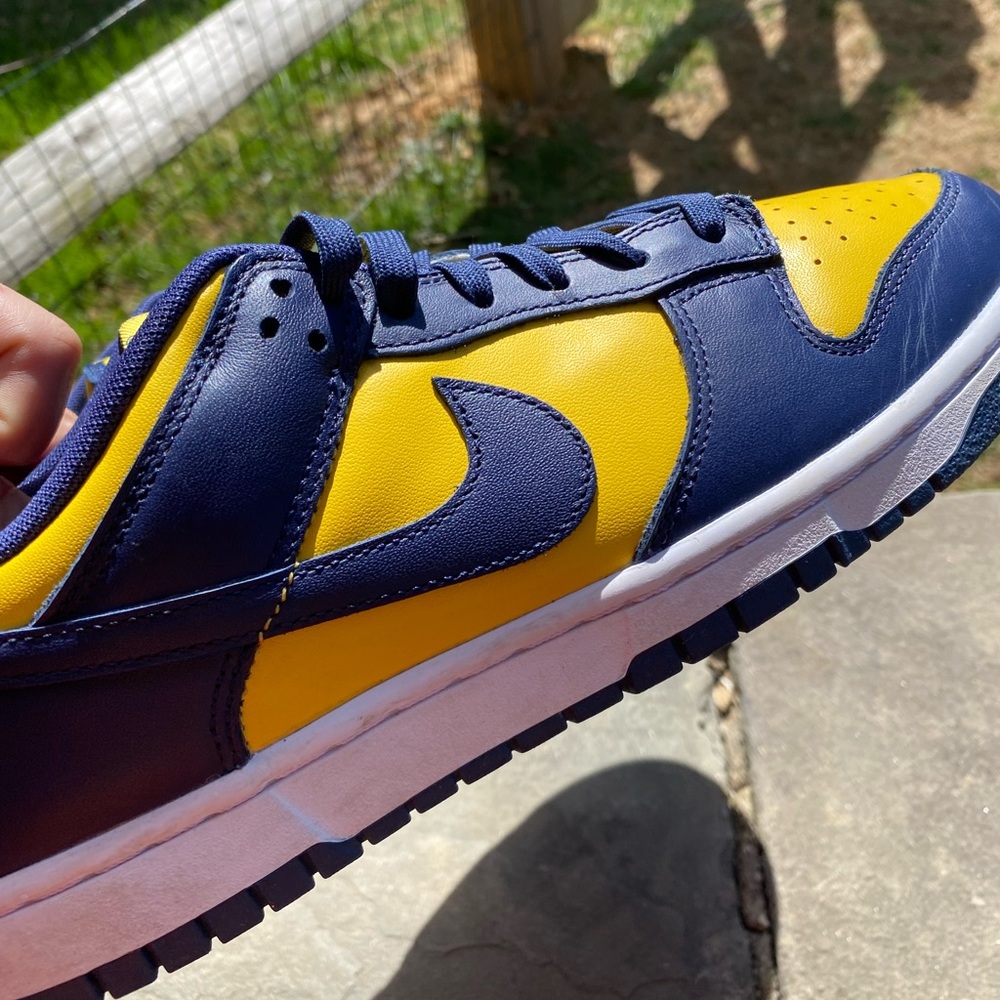 Nike dunks size 9.5 mens